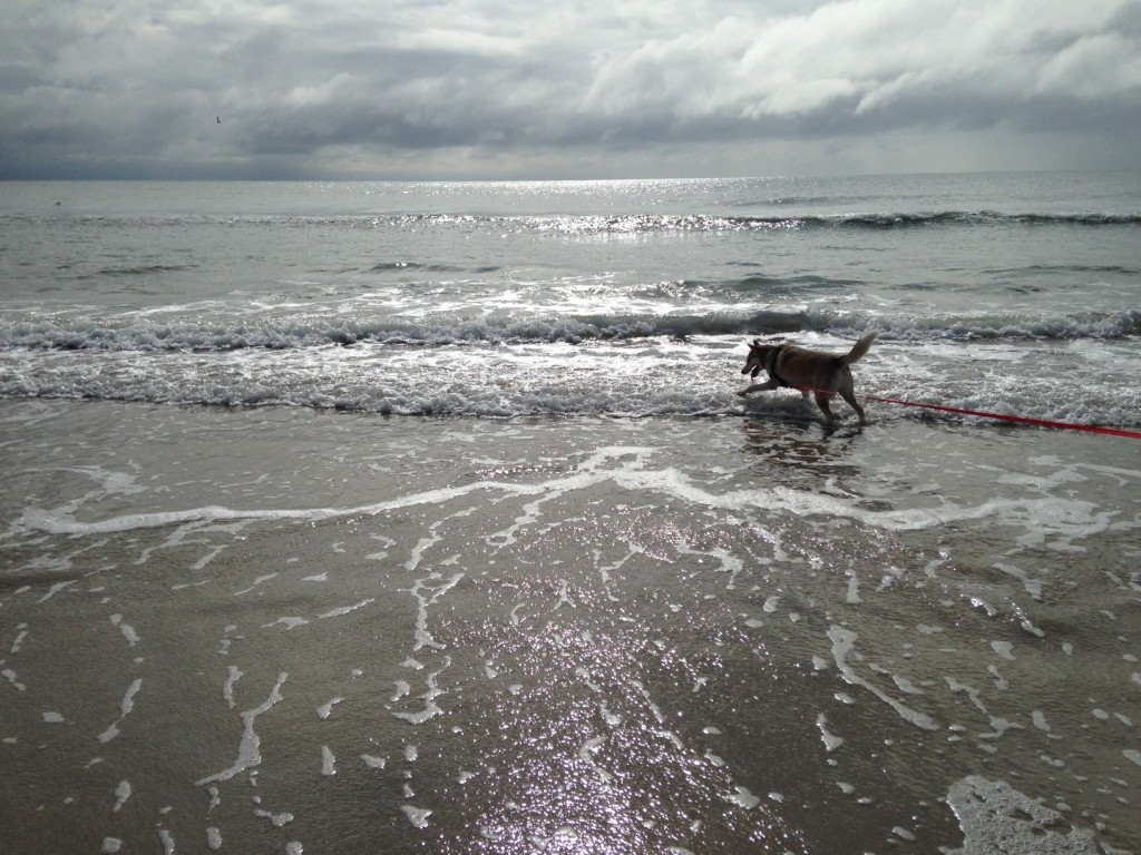 blog-3-sadie