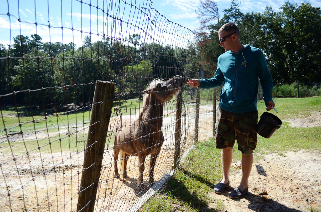 AlabamaZoo20130922_002