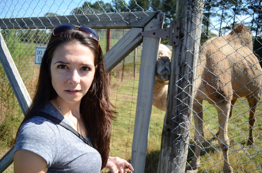 AlabamaZoo20130922_010