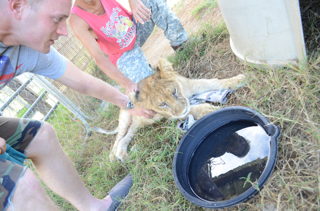 AlabamaZoo20130922_038