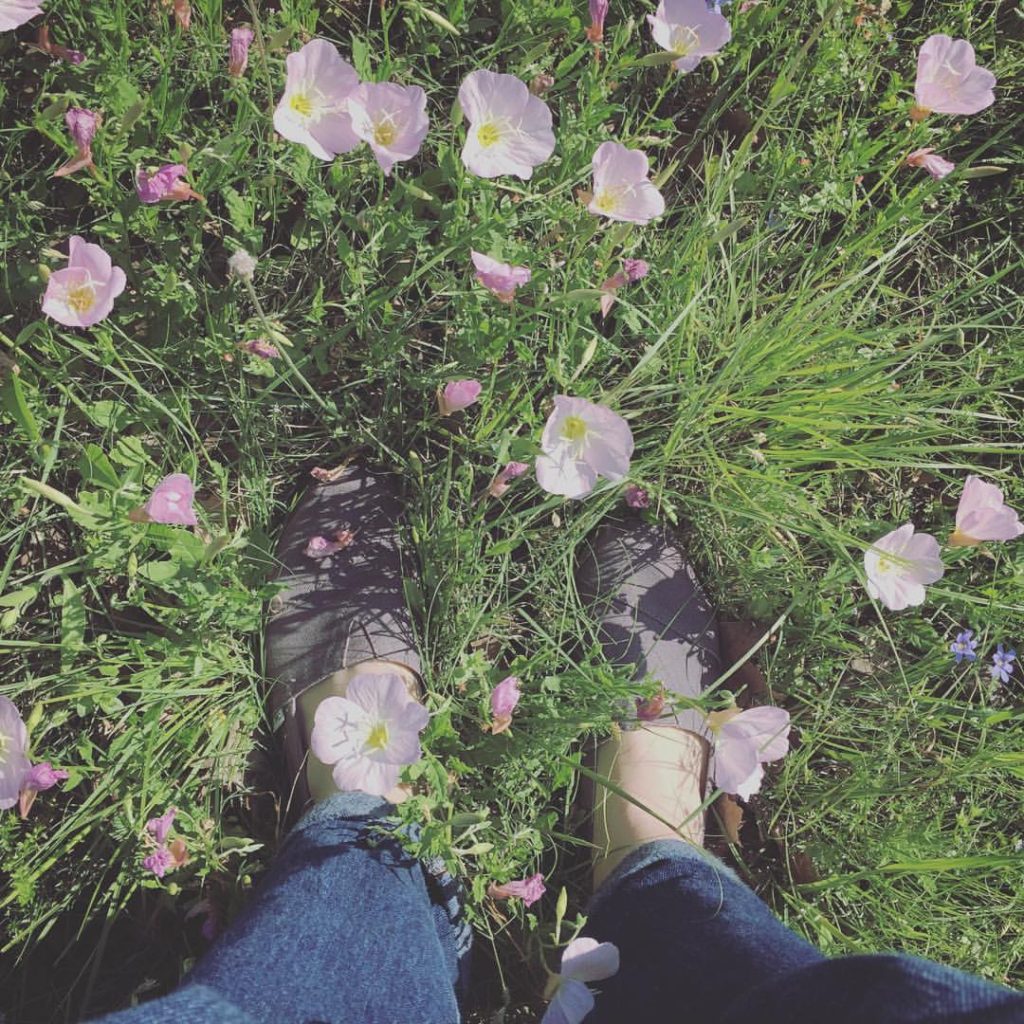 wildflowers